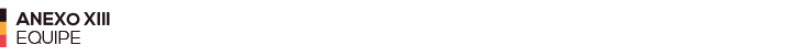 Anexo XIII