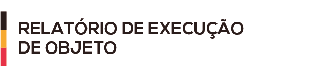 BOTÃO RELATÓRIO DE EXERCICIO