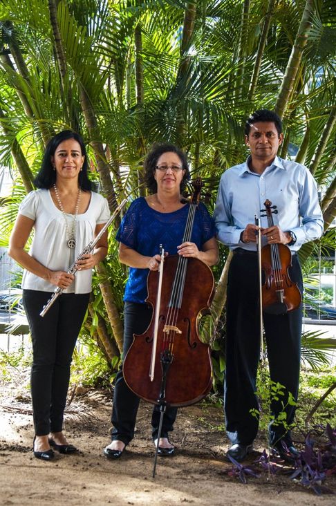 Camareta Quadro Solar por Mauricio Serra