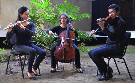 camerata quadro solar