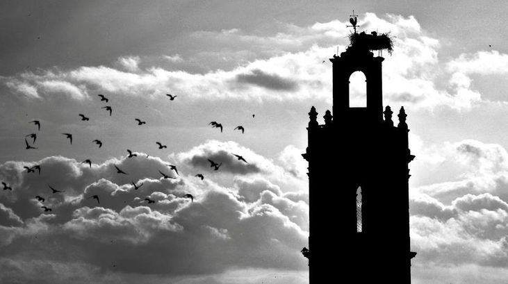 Mostra Raízes e Metáforas