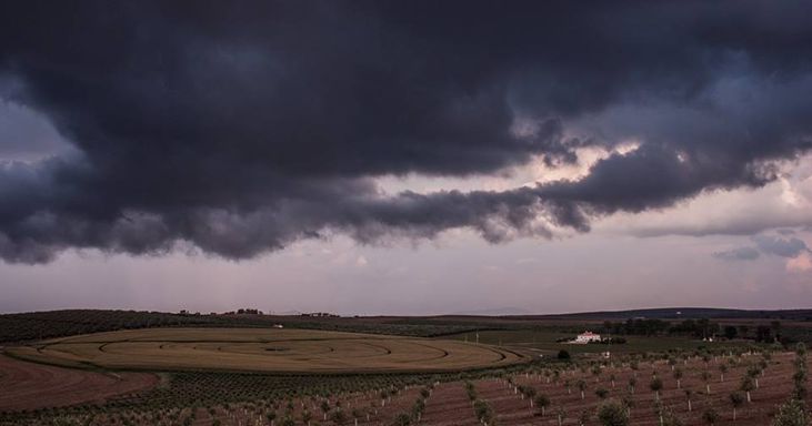 Mostra Raízes e Metáforas