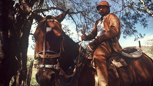 Vaqueiro-Jalson.-Barreiras.-Elias-Mascarenhas