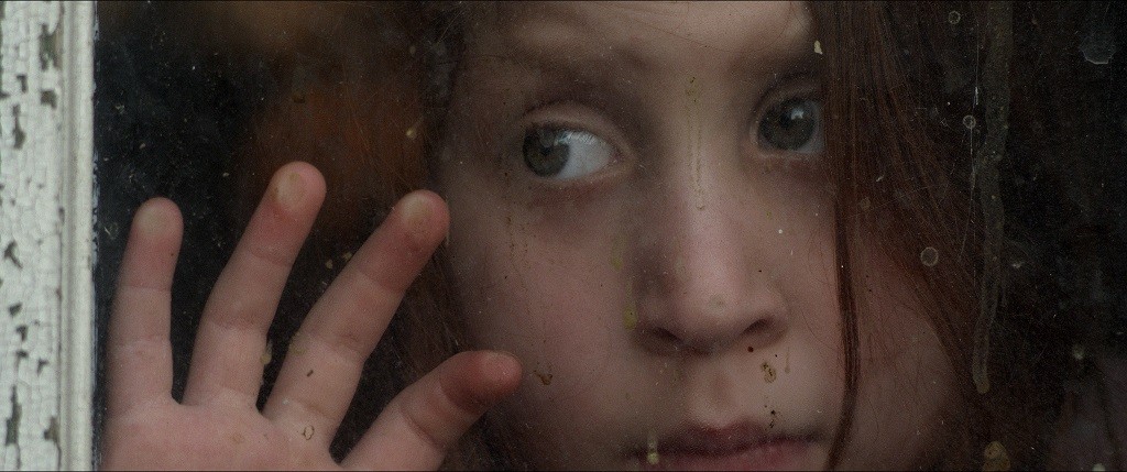 Foto Tarantula - Divulgação net