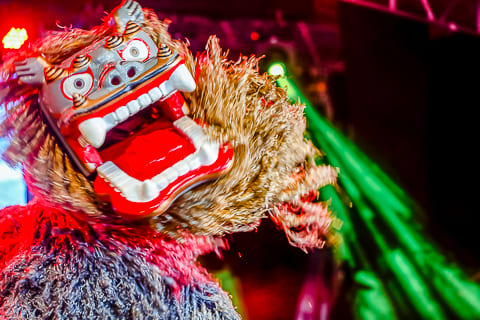 Festival de Cultura Japonesa