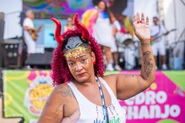 15.02 Pedro Archanjo - FOLIA DELAS - Milena Palladino (22).jpg