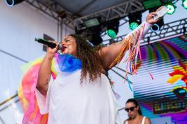 15.02 Pedro Archanjo - FOLIA DELAS - Milena Palladino (26).jpg