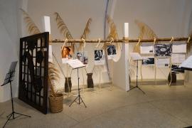 Exposição - Carro de Boi