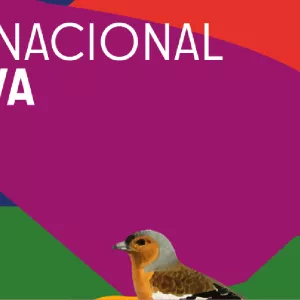 Encontro Nacional Cultura Viva 20 anos