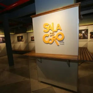 Foto: Mateus Pereira