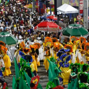 Bloco saiu este ano com o tema "Quem me protege não dorme"