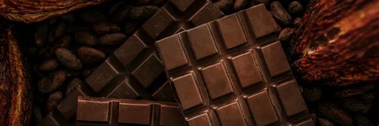 Festival Chocolat Bahia 2024