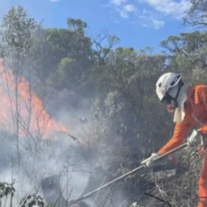 Defesa Civil da Bahia emite alerta via SMS 