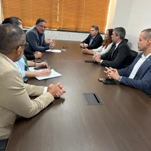 Diretor do Detran em reunião com o secretário de Segurança Pública, Maurício Werner, a procuradora geral do Estado e outras autoridades