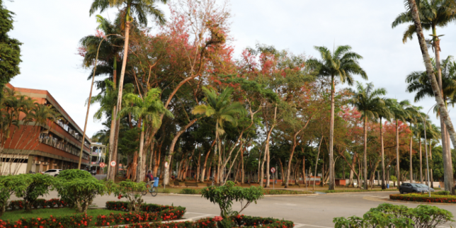 Uesc se mantém como a primeira Universidade entre as estaduais da Bahia