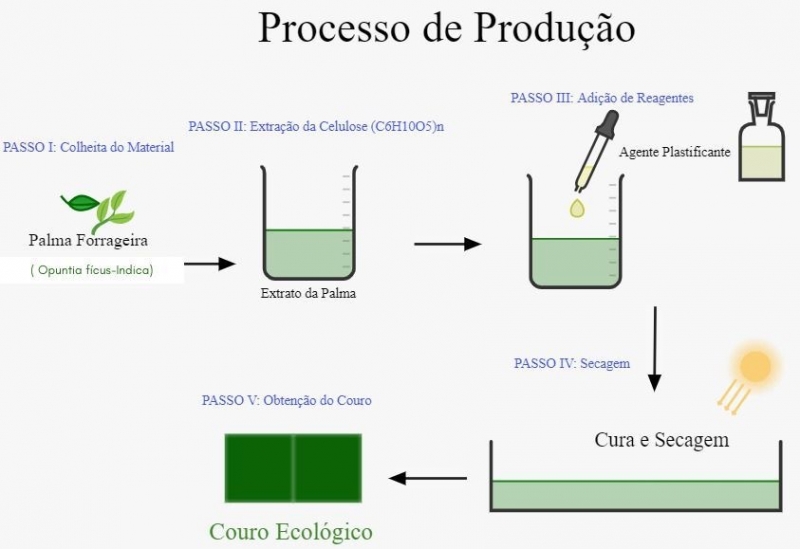 Projetos desenvolvidos por estudantes da rede apostam em inovação tecnológica e na sustentabilidade