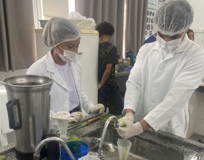 Estudantes do semiárido baiano desenvolvem sacolas biodegradáveis