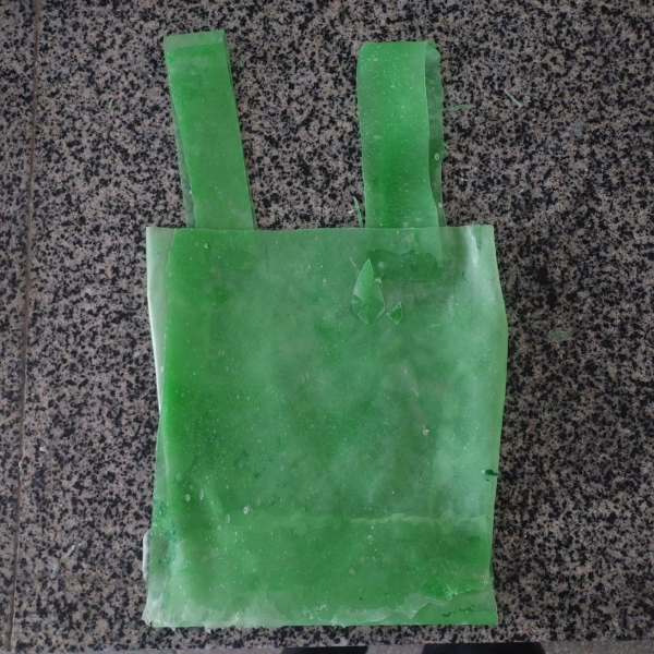 Estudantes da rede estadual do interior da Bahia desenvolvem sacolas de bioplástico feito com sisal