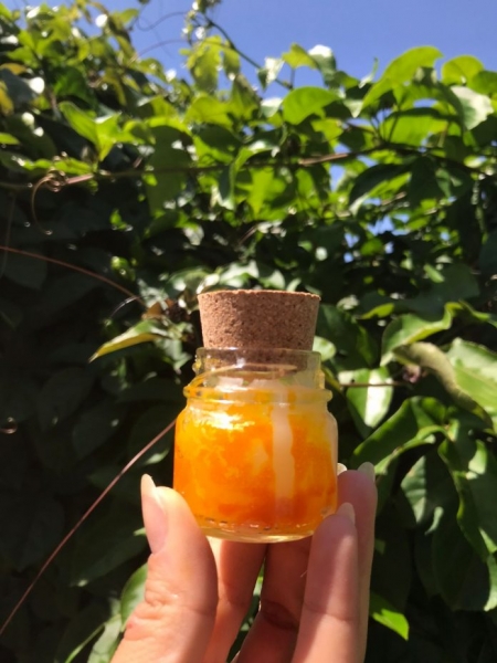 Estudantes de Santa Bárbara utilizam maracujá do mato para criar velas aromáticas