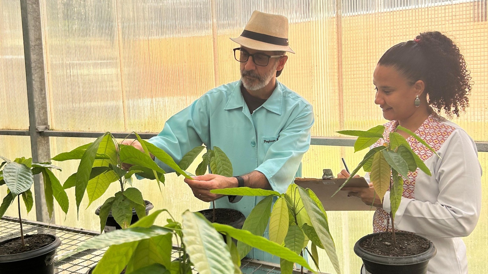 Pesquisadores da Uesc descobrem potencial biotecnológico em proteína da vassoura-de-bruxa