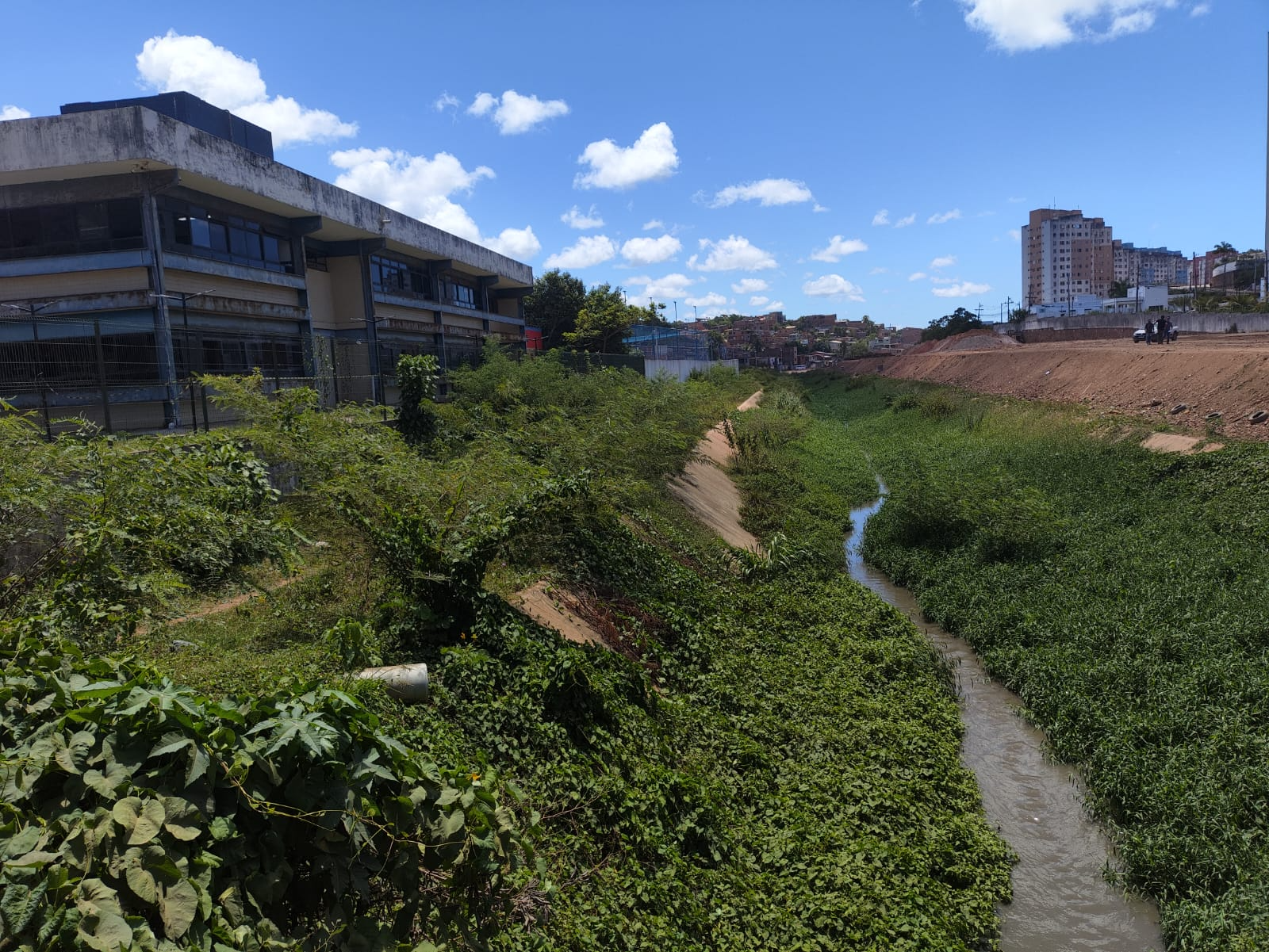 Estudantes protagonizam abraço coletivo ao Rio Mangabeira