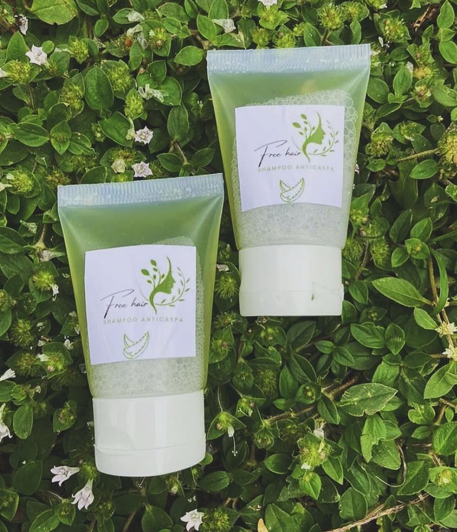 Jovens cientistas criam shampoo anticaspa à base de babosa e juá