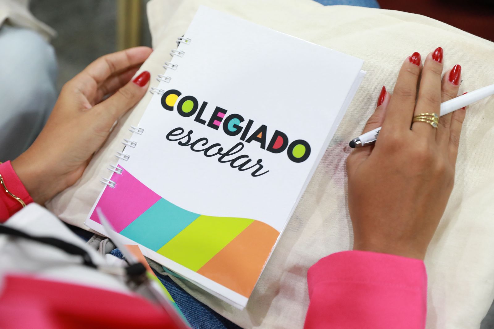 Colegiado Escolar