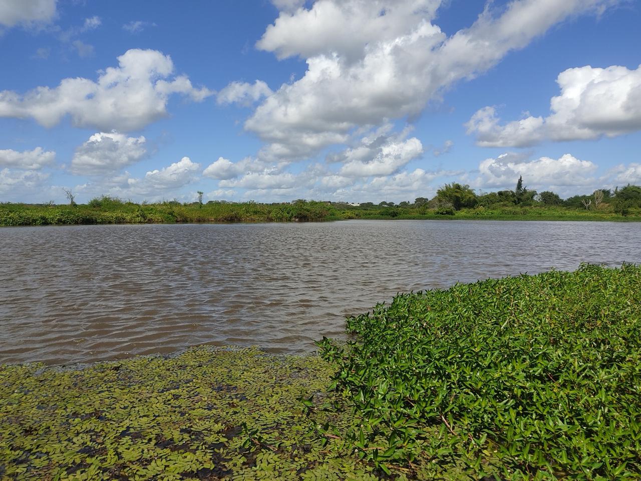 Estudantes de Santa Bárbara realizam projeto de conservação do Rio Pojuca