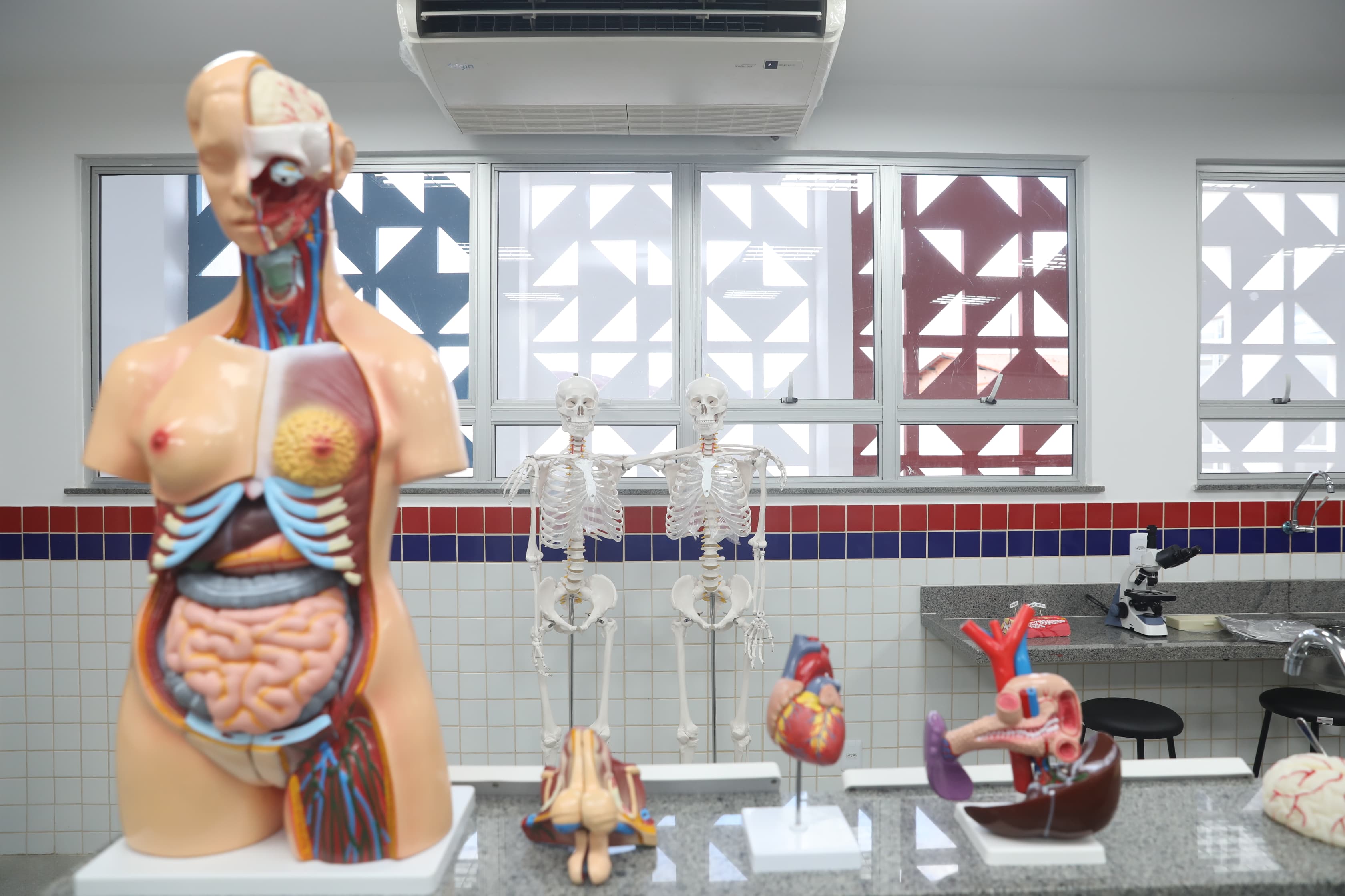 Governo do Estado fortalece educação em Anagé com entrega de novo colégio