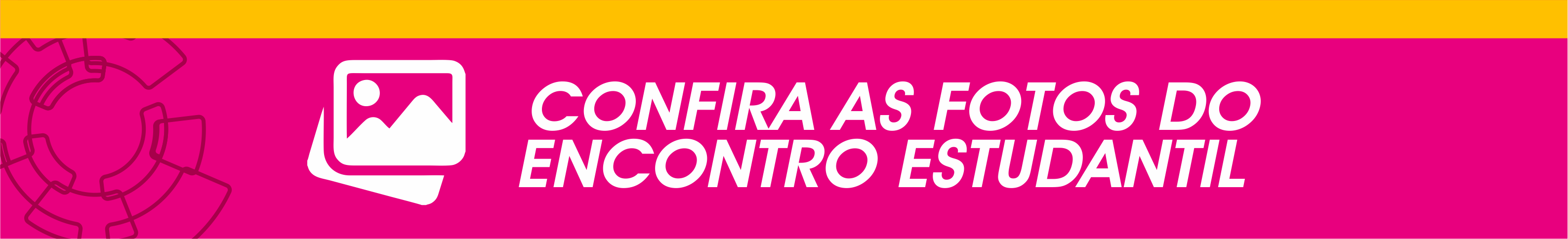 Confira as fotos do Encontro Estudantil