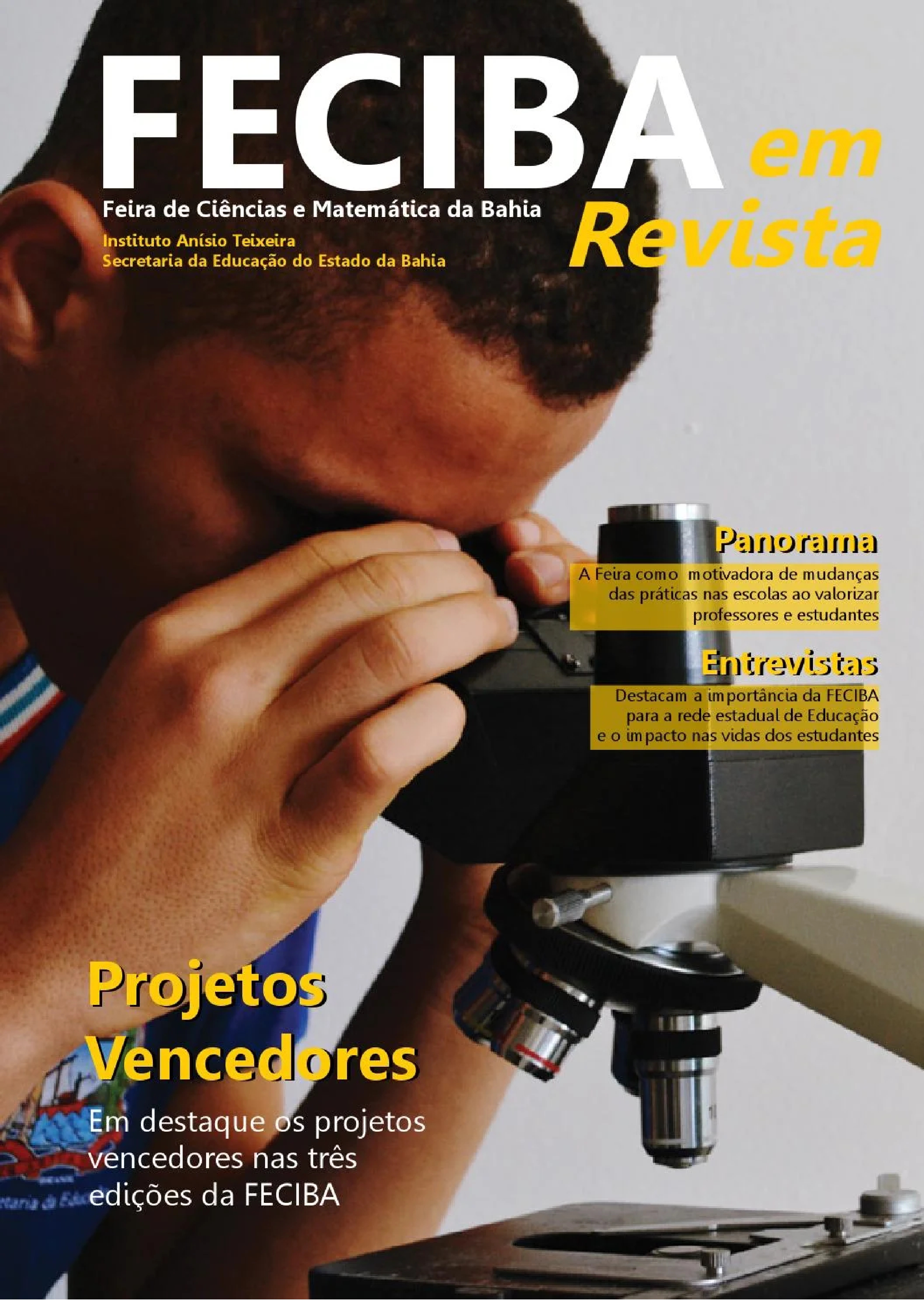 FECIBA 2013 - Capa