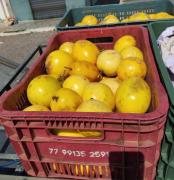 agricultura familiar 3.jpeg