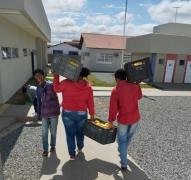 agricultura familiar 5.jpeg