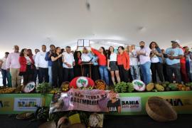 Alfabetização 3.jpg