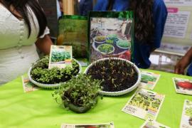 Entrega tablets 8.jpeg