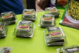 Entrega tablets 9.jpeg