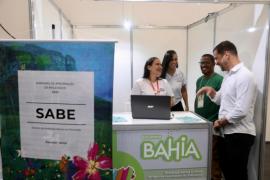 Projetos e programas 4.jpg