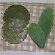 inovação tecnológica 5.jpeg