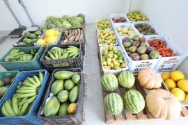 reforço alimentação 4.jpeg