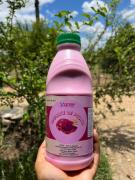 área alimentícia 2.jpeg