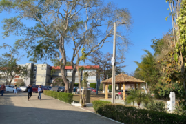 Vestibular 2025 1.png