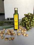 biocombustível sustentável 2.jpeg