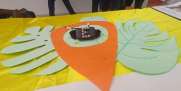 pulseira rastreadora 2.jpeg