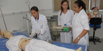 Organização curricular 2.jpg