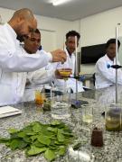 Estudantes baianos criam bioglitter ecológico para o Carnaval