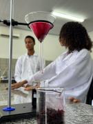 Estudantes baianos criam bioglitter ecológico para o Carnaval