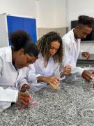 Estudantes baianos criam bioglitter ecológico para o Carnaval