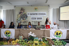 Compromisso do Estado com Educação no Campo e a Agricultura Familiar são destacados no 9º Encontro da CECAF/BA