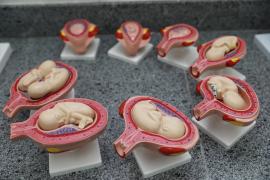 Colégio Estadual de Tempo Integral Luís Navarro de Brito - Jequié 