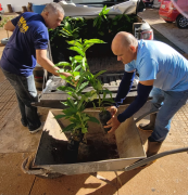 Farmácia Verde Colégio Sinésio Costa 5.jpg